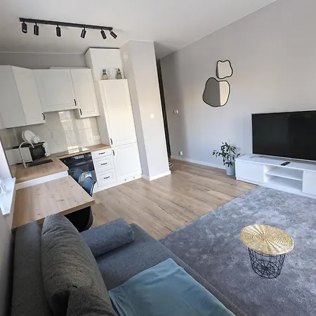 Centrum Kawalerka W Srodmiesciu Lodz